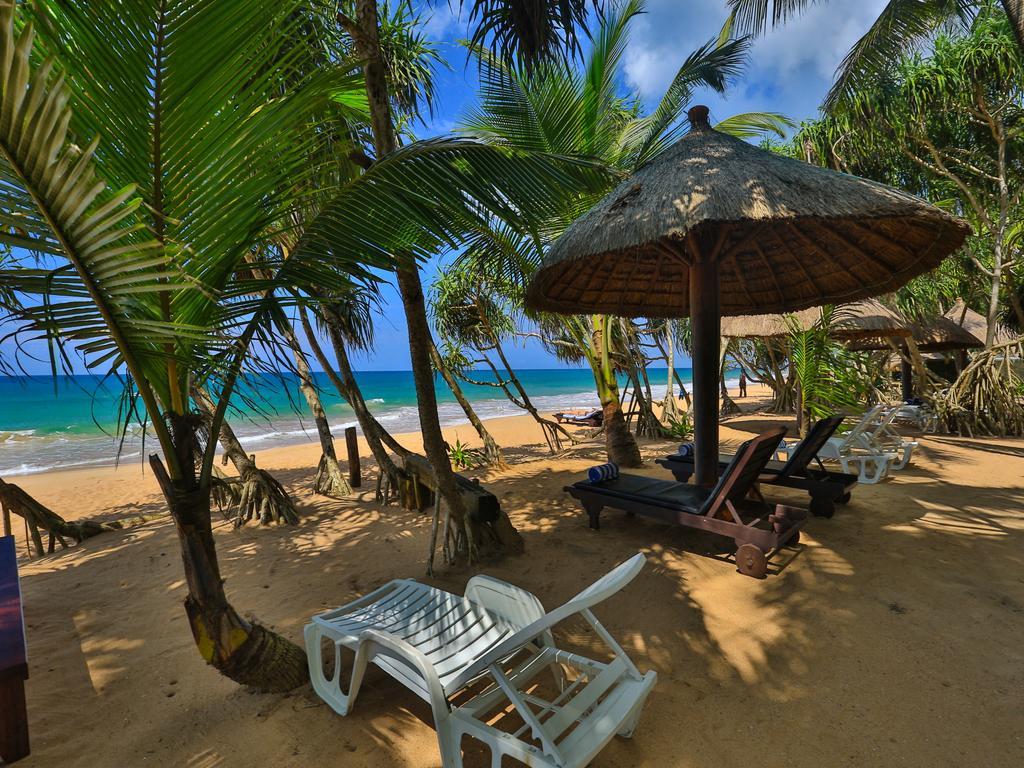 Thejan Beach Cabanas Bentota Exterior photo